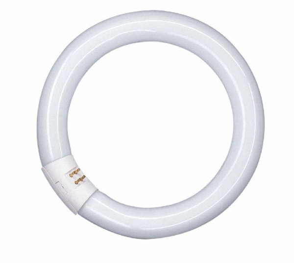 Лампа люминесцентная L 22W/840 C 22Вт кольцевая 4000К G10q OSRAM 4008321581082