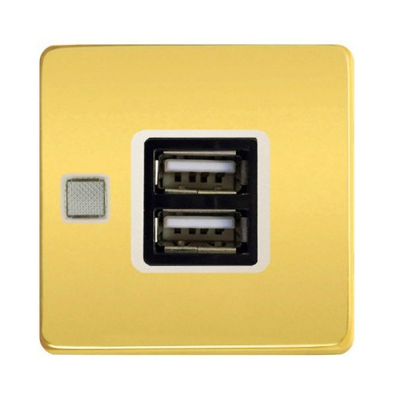 Розетка USB FEDE коллекции FEDE, скрытый монтаж, bright gold//бежевый, FD-212USBOB-A
