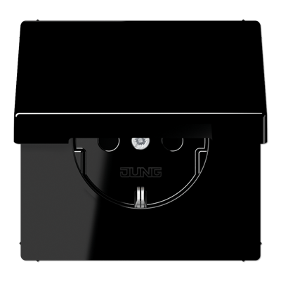 Розетка Jung LS 990, скрытый монтаж, с заземлением, , черный, LS1521KLSW